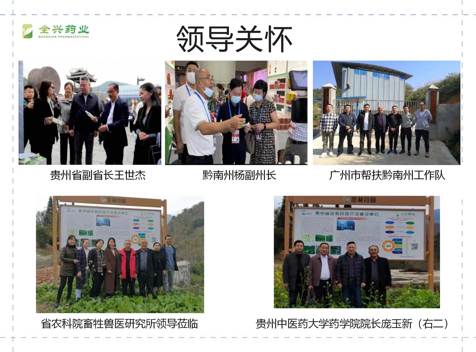 全兴药业艾纳香-13